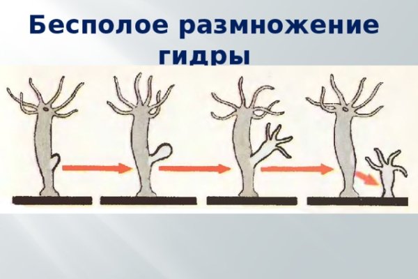 Можно вывести деньги с кракена