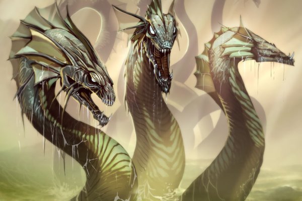 Kraken это современный маркетплейс