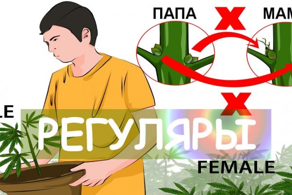 Кракен интернет