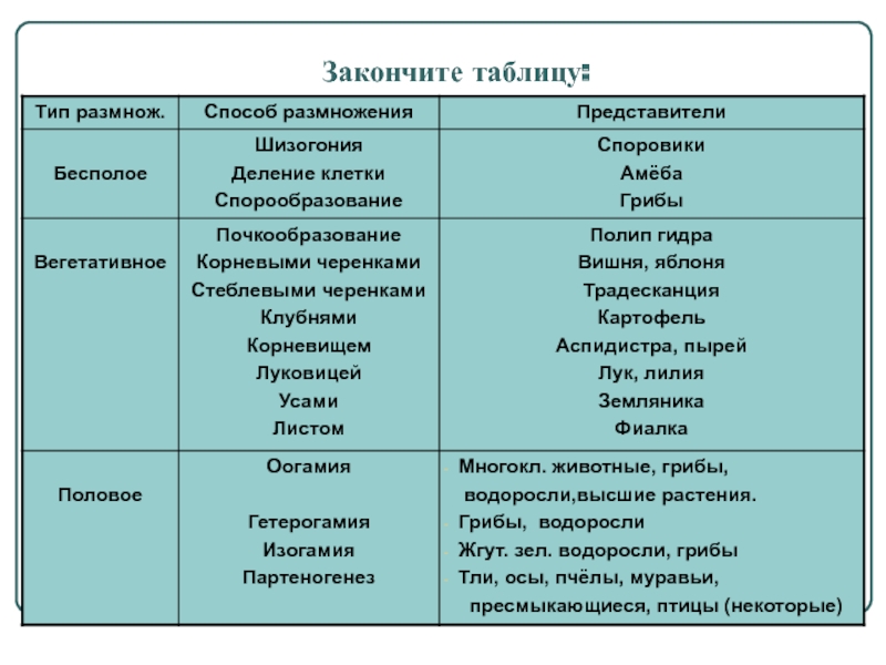 Кракен ссылка trikky