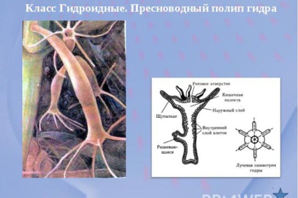 Kraken ссылки актуальные 2025 г
